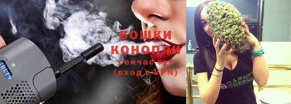 шишки Чегем