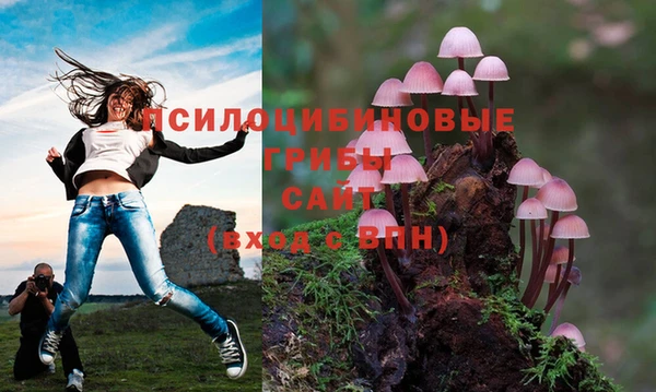 мет Вязники