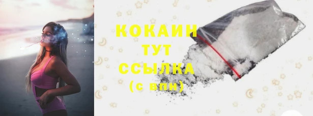 стаф Вяземский