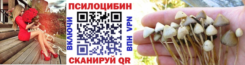 Галлюциногенные грибы MAGIC MUSHROOMS  Купить  Петровск-Забайкальский 